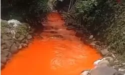 Viral! Sungai di Citeureup Bogor Tercemar, Warga Minta Tindakan Tegas dari Gubernur Jabar Kang Dedi Mulyadi