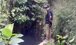 Sungai Cikadu Bogor Diduga Tercemar Limbah B3, PT Novell Pharmaceutical Jadi Sorotan