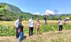 Komisi I DPRD Bogor Tinjau Sengketa Lahan Pertanian Warga dan IPB di Sukaharja