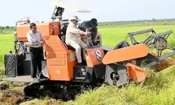 Produksi Beras Indonesia Melonjak, Impor dari Thailand Dihentikan: Diakui USDA