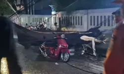 Pohon Besar Tumbang di Jalan Mercedes Benz Gunung Putri, 3 Orang Luka dan Lalu Lintas Macet 2 KM