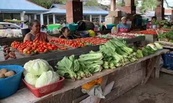 Dugaan Sertifikat Palsu di Pasar Larat Picu Keresahan Pedagang Kecil, Tuntut Penyelidikan Tegas
