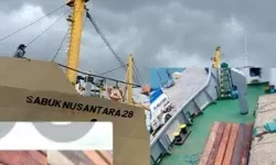 Dugaan Ilegal Logging di Maluku Barat Daya: Oknum TNI Diduga Terlibat, Penegakan Hukum Dipertanyakan