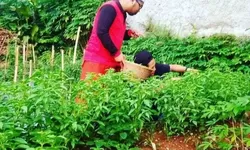 Rudy Susmanto dan Jaro Ade Resmi Pimpin Bogor, Pemuda Harapkan Inovasi