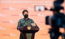 Pasien Anak Terinfeksi HMPV di Indonesia Sudah Sembuh, Fatalitas Rendah