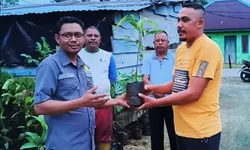 Yayasan Sor Silai dan INPEX Masela Dorong Agroforestri Berkelanjutan di Tanimbar
