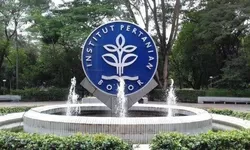5 Universitas Terbaik di Bogor Versi UniRank 2024: Pilihan Tepat untuk Kuliah