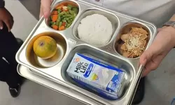 Program Makan Bergizi Gratis Mulai 6 Januari 2025, Menu Makan Disesuaikan 