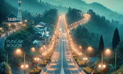 Jalur Puncak Bogor Ditutup untuk Car Free Night Saat Malam Tahun Baru 2025