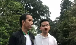 Begini Reaksi Jokowi, Gibran, dan Bobby Nasution Setelah Dipecat PDIP