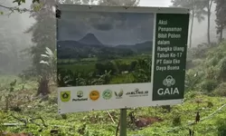 Hijaukan Bumi, PT Gaia Eko Daya Buana Tanam Durian Musang King di Sukamakmur Bogor
