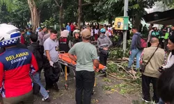 Angin Kencang Timbulkan Kecelakaan di Kota Bogor, 1 Orang dikabarkan Meninggal Dunia