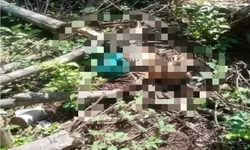 Heboh! Warga Klapanunggal Bogor Temukan Mayat di Gunung Kendal Kuta Bodas