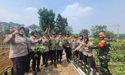 BNN RI Beserta Polwan Lakukan Bakti Sosial Hingga Panen Singkong di Desa Gunungputri 