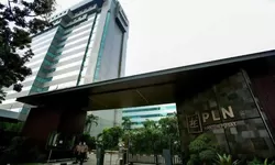 Politisi Partai Demokrat Andi Arief Ditunjuk Jadi Komisaris PLN, Burhanuddin Komisaris Utama