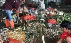Meminimalisir Sampah Pasar Cikema, Pemuda Karang Taruna Cibinong Ubah Sampah Jadi Pupuk Kompos dan Pelet