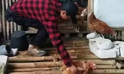 Tingkatkan Sektor Pertanian Dan Perternakan, Sekjen Posraya Indonesia Lakukan Ini!