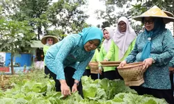 Siti Chomzah Asmawa, Kunjungi Desa Wanaherang Guna Persiapkan Lomba Tingkat Provinsi 