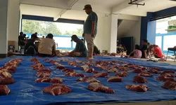 Idul Adha 1445 H, PWI Kabupaten Bogor Qurban 2 Ekor Sapi dan 6 Ekor Kambing