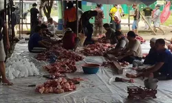 Panitia Qurban 1445H, LDII PAC Desa Gunungputri Sembelih 16 Sapi dan 50 Kambing dan Domba