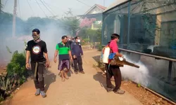Antisipasi Penyebaran DBD, Destana Gunung Putri Gercep Lakukan Fogging