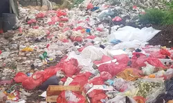 Bukan Hanya Pemilik Lahan, Warga Sekitar Juga Keluhkan Sampah dan Pengelolaan Pasar Yang Buruk!