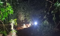 Tanah Longsor di Desa Sentul Bogor, Nenek Berusia 70 Tahun Masih Dalam Pencarian