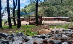 Rest Area Bukit Pinus Cisalada, Menjadi Tempat Alokasi Pedagang Liar di Ruas Jalan Desa Wargajaya