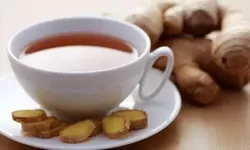 Manfaat Dan Kasiat Jahe Yang Wajib Anda Ketahui