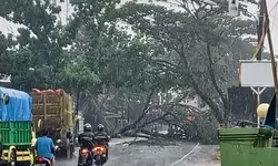 Hujan beserta Angin kencang di Kabupaten Bogor, sedikitnya ada 14 Kecamatan yang terdampak