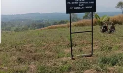 Galian C Ilegal di Kawasan Sukamakmur di surati ESDM dan ditindak lanjuti Sekda