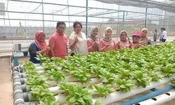 Program Pt Kahaptex Sosialisasikan Tanam Bareng Warga
