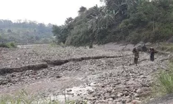 Musim Kemarau Telah Tiba Para Petani di Wilayah Sukamakmur Terancam Rugi.