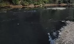 Satu Pekan terakhir, Kondisi Aliran Sungai Cileungsi berubah warna pekat Hitam.