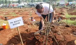 Tertibkan Kawasan Stadion Pakansari Agar Lebih Hijau, Iwan Setiawan Bersama Forkopimda tanam Ratusan Pohon.