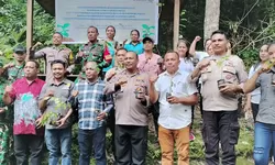 Tanam Pohon di Weturlely, Sor Silai Dukung Agroforestri & Ekowisata