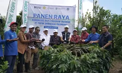 Sinergi Pusri dan Kementan Dongkrak Daya Saing Kopi Arabika Kintamani di Pasar Global