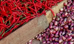 Hadapi Kemarau, Pasokan Bawang Merah dan Cabai Berkurang Bakal Picu Inflasi, Stok Beras Sumsel Cukup Sampai 6 Bulan ke Depan