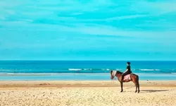 Rekomendasi Wisata Paling Viral, Intip Pesona 4 Pantai di Madura, Aksesnya Mudah Dijangkau