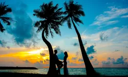 Ada Ramalan Zodiak 8 Januari 2024 yang Menghadirkan Perjalanan Cinta Penuh Emosi Cancer, Leo, dan Virgo!