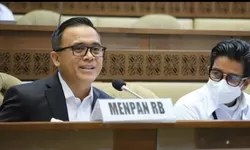 Menpan RB dan DPR Sudah Sepakat Akan Angkat Tenaga Honorer Golongan Ini untuk Jadi PPPK