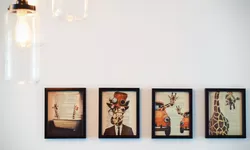 Inilah Cara Mengatur Foto di Dinding Rumah Agar Dinding Terlihat Lebih Rapi dan Aesthetic!