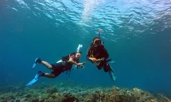 Rekomendasi Wisata Bahari yang Bisa Kamu Kunjungi di Bulan Februari 2024, Harus Masuk ke Dalam Wishlist Kamu!