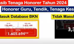 Seperti Apa Skenario Pengangkatan Seluruh Tenaga Honorer Menjadi PPPK Full Time dan PPPK Part Time?