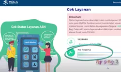 Update Terbaru Mola BKN Bisa Cek Status Penetapan NIP dan NIPPPK NIP3K Tanpa WhatsApp