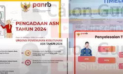 Nasib Guru Honorer Tidak Masuk Database BKN tetapi Terdaftar Dapodik jika Formasi PPPK Guru Sedikit