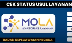ASN Wajib Tahu! Cara Cek Status Kebaikan Pangkat tanpa Mola BKN