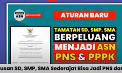 CARA BARU CEK DATA NON ASN DI BKN, Cek Sekarang Formasi Calon ASN PPPK P3K 2024