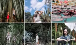 Liburan Semester Bingung Mau Kemana? Cobain Deh Ke Tempat Wisata Bogor Ini, Dijamin Nagih Deh