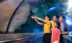 Harga Tiket Masuk Ancol Lebaran 2024 Lengkap dengan Cara Pembeliannya